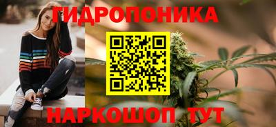 тгк Можга