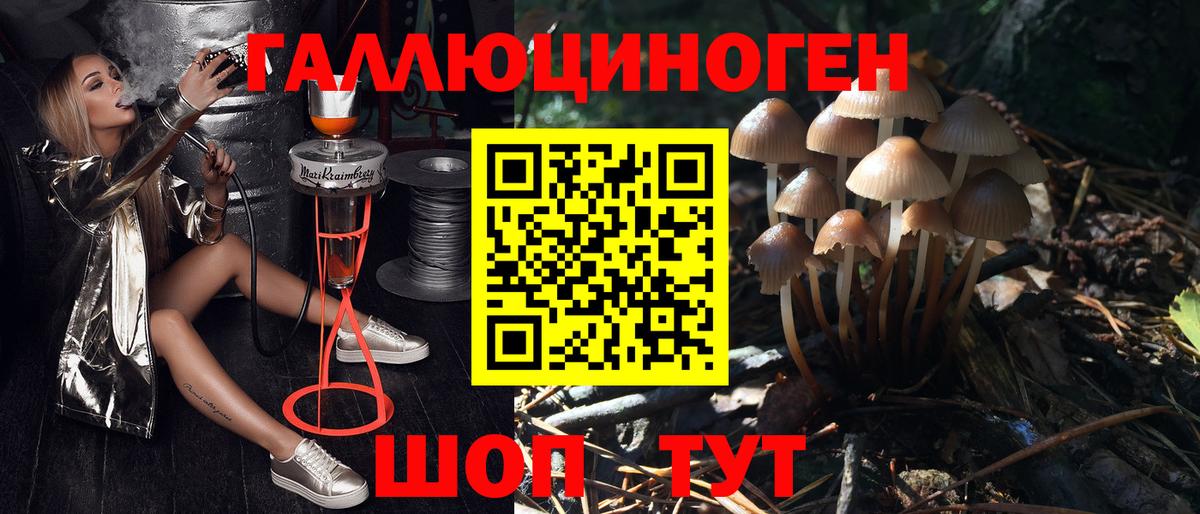 Псилоцибиновые грибы GOLDEN TEACHER  Галлюциногенные грибы прущие грибы  Вход с VPN  Канск 